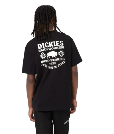 Camiseta de manga corta Dickies Hays Negra