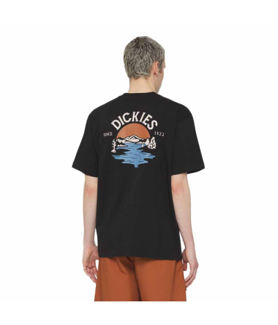 Camiseta de manga Dickies Beach Black espalda