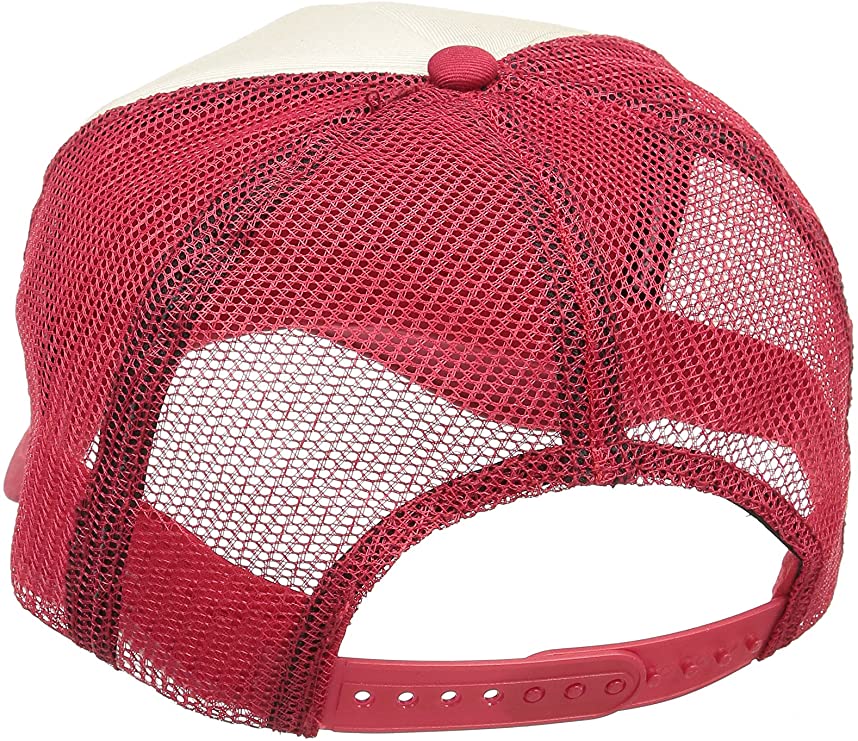 Gorra Trucker Lightning Bolt A Pure Source Red