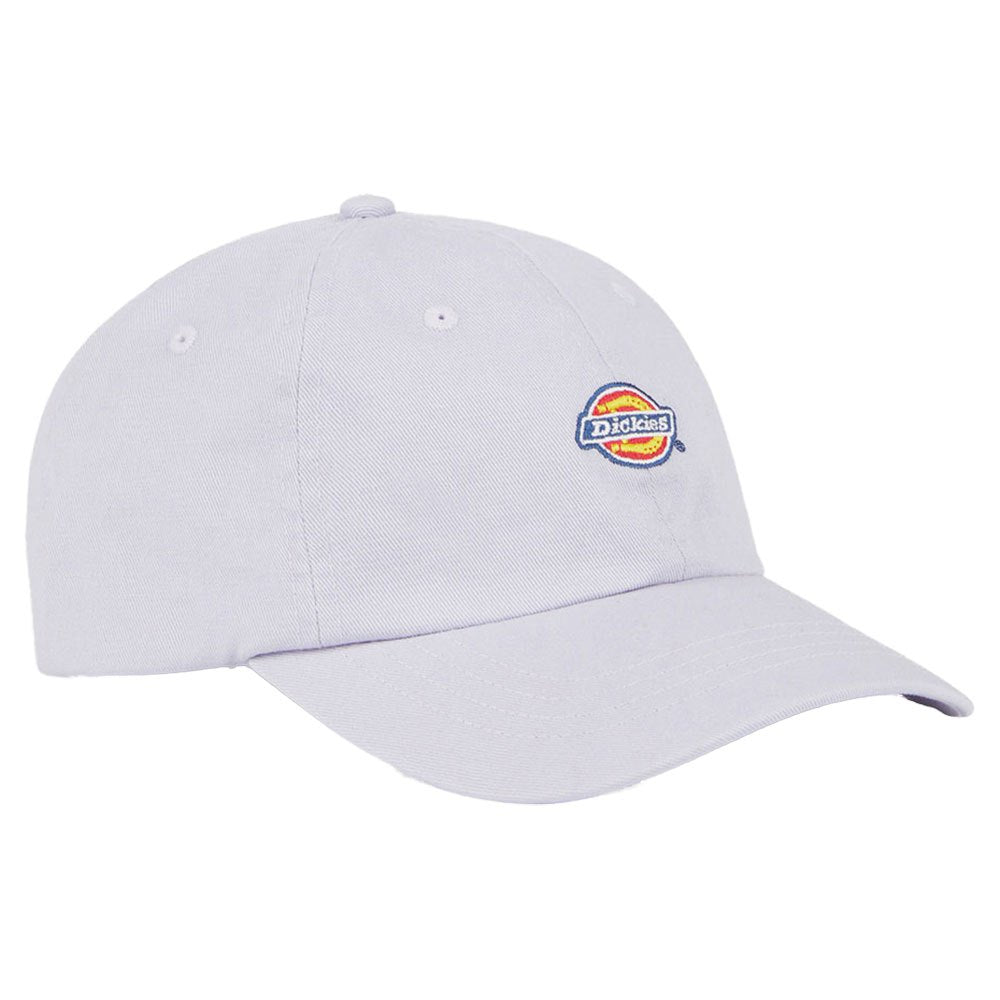 Gorra Dickies Hardwick Cloud