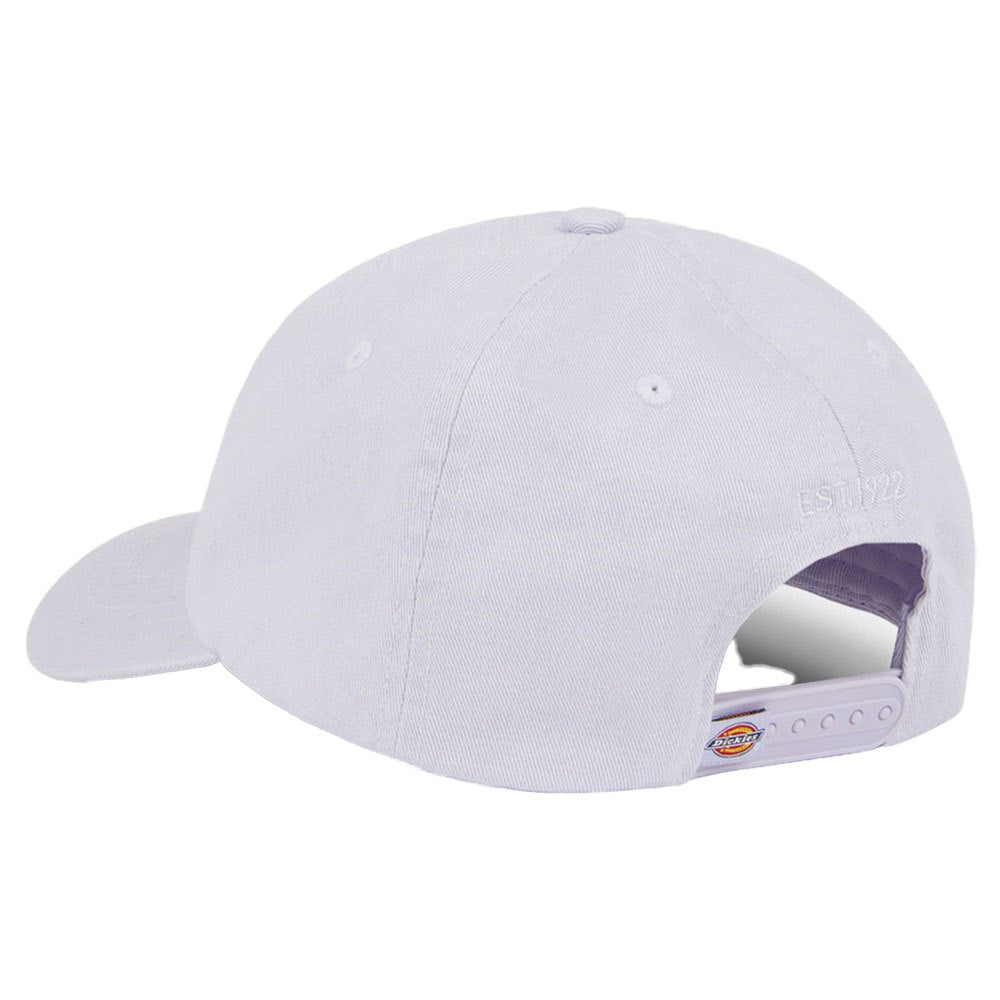 Gorra Dickies Hardwick Cloud