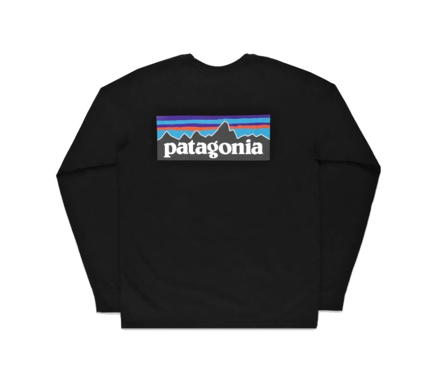 Camiserta patagonia manga larga negra logo en espalda