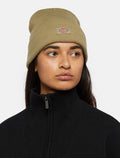 Chica con el Gorro de Invierno Unisex Dickies Gibsland Beanie Imperial Green