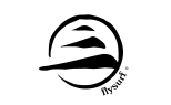 FLYSURF BOARDS Brand Logo