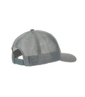 Gorra New Balance gris back