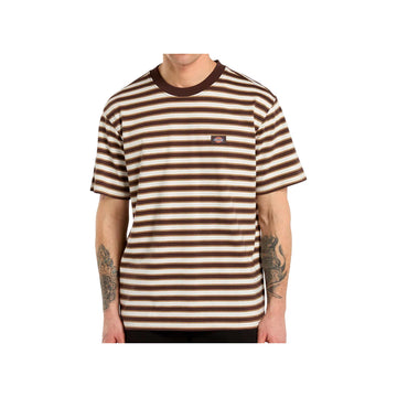 DICKIES LEWISTOWN STRIPE SS TEE | STRIPED T-SHIRT