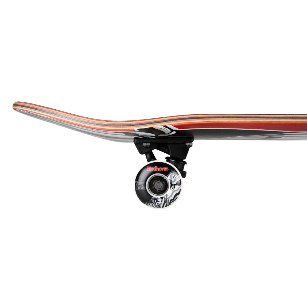 Perfil del nose del skate completo Birdhouse Stage 3 Hawk Falcon 2: kick curvado, capas de arce con veta roja y morada, truck negro y rueda blanca con gráfica negra de Tony Hawk