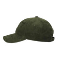 Gorra Carhartt WIP Harlem Cap Verde lateral