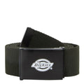 Cinturón Dickies Orcutt Webbing Belt en verde oliva enrollado sobre fondo blanco, mostrando el tejido de poliéster y la hebilla metálica con el logo de la marca.