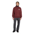 Modelo vistiendo sudadera Dickies Donut House Hoodie color andorra vista frontal completa.