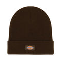 Dickies Gibsland Beanie, gorro de punto marrón en plano frontal sobre fondo blanco, con dobladillo vuelto y etiqueta Dickies cosida bien visible en el bajo.
