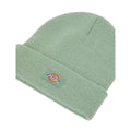 Gorro Dickies Gibsland Beanie verde Sea Spray con logotipo frontal bordado, vista detalle.