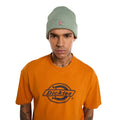 Gorro Dickies Gibsland Beanie color verde Sea Spray en look de hombre, vista frontal.