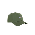 Gorra Dickies Hardwick verde Sea Spray con diseño clásico de 6 paneles y logotipo frontal.