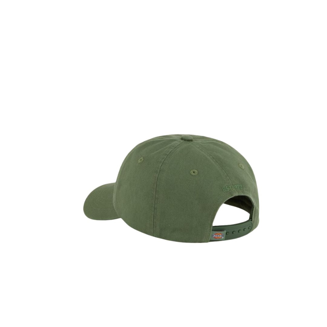 Vista trasera de la gorra Dickies Hardwick verde Sea Spray con cierre ajustable snapback.