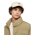 Gorra Dickies Hardwick unisex beige Whitecap Gray con logo bordado, vista frontal en modelo hombre.