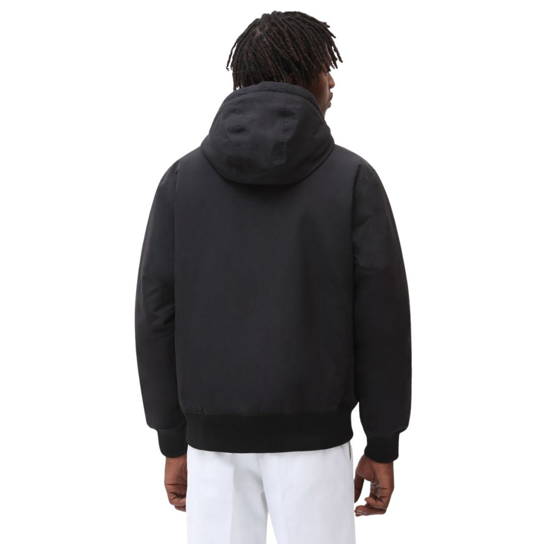 Vista trasera de modelo vistiendo la chaqueta Dickies New Sarpy color negro.