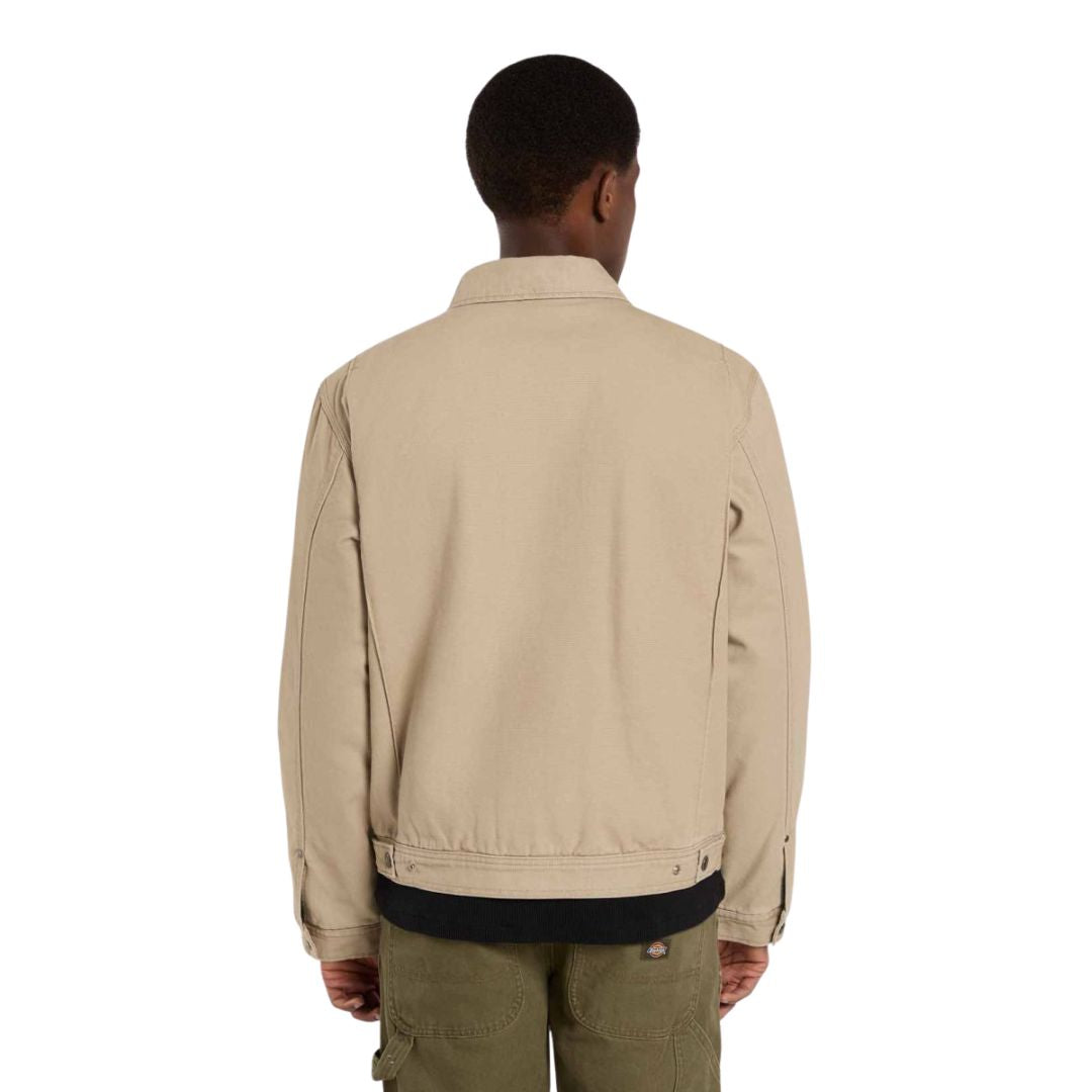 Vista trasera de la chaqueta Dickies Painter Jacket Canvas color desert sand sobre modelo masculino.