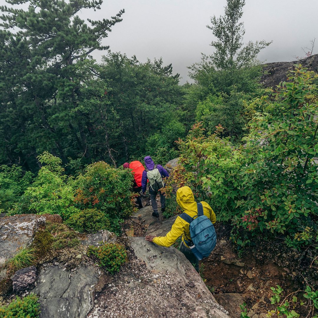 Grupo de senderistas con chaquetas impermeables Patagonia Torrentshell 3L ascendiendo terreno rocoso bajo lluvia y niebla con mochilas de montaña.