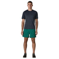 Patagonia Baggies Shorts 5