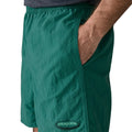 Patagonia Baggies Shorts 5