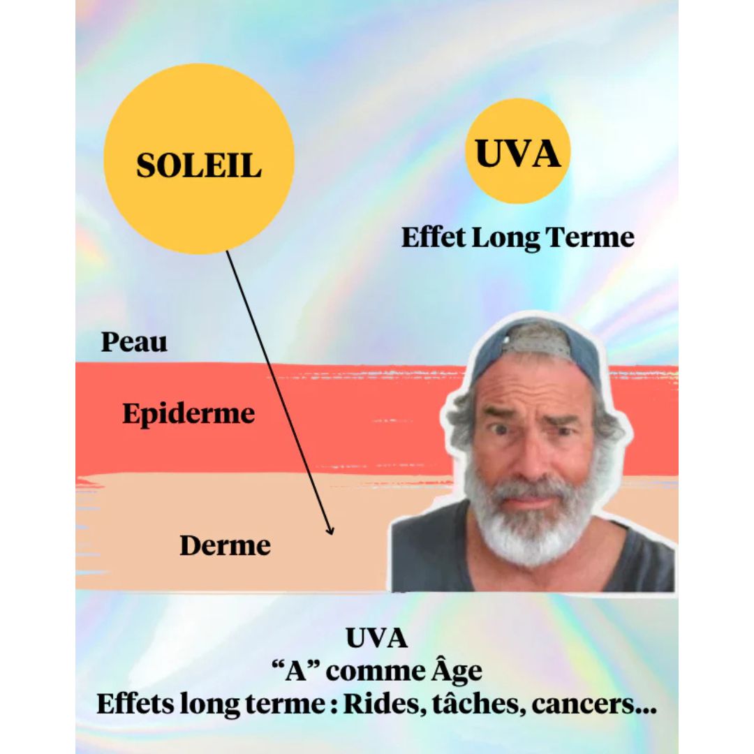 Infografía rayos UVA penetración en la piel efecto envejecimiento protección solar SPF50 cara.