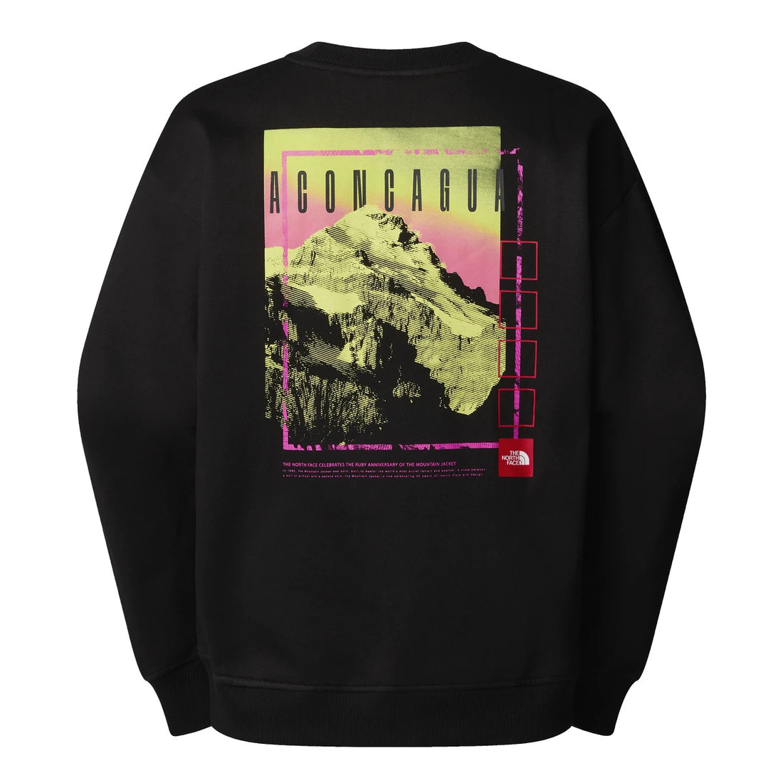 Sudadera The North Face Axys Oversized Crew negra con diseño gráfico del Aconcagua en tonos rosados y verdes