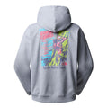 The North Face Expedition Celebration Oversized Hoodie color gris claro vigoré, vista trasera con gráfico impreso en la espalda.