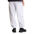 Vista trasera del pantalón de chándal The North Face Red Box en gris jaspeado TFN Classic, con bolsillo trasero parcheado y bajo de pierna con puño elástico ceñido al tobillo.