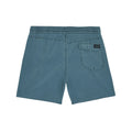 Volcom Center Trunk 17 Tradewinds bañador hombre vista trasera producto verde azulado.